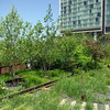 djohnstons > The Highline photo