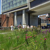 djohnstons > The Highline photo