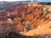 Frost at Sunrise Point, Bryce Canyon